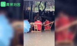 网友爆料泼粪视频大全下载,惊悚泼粪视频大全，揭秘网络暴力黑暗面